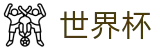 2026国际足联世界杯官方赛事中心